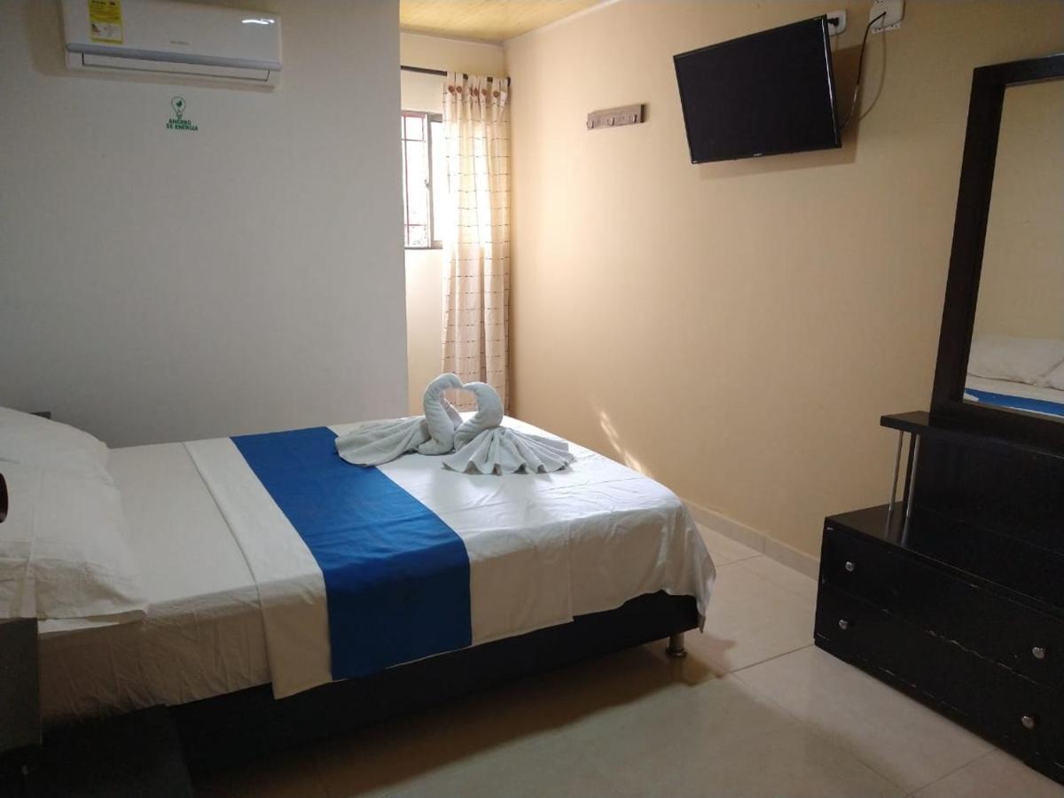 Hotel The Dolphin *
